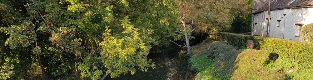 BANDEAU rivière en automne