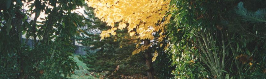 BANDEAU parc arboré jardin du souvenir