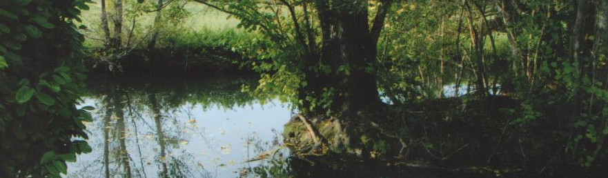 BANDEAU rivière vue du pont d’Auffreville