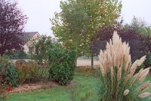 3331_576869219_19842-parcdelasalle
